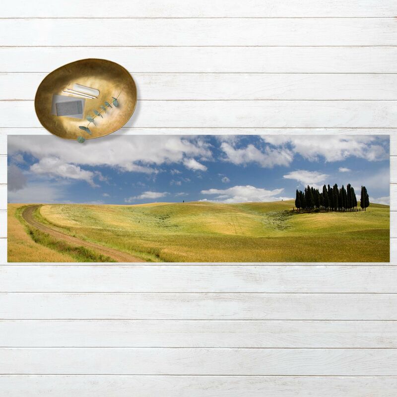 Bilderwelten - Alfombras vinílicas - Cypresses In Tuscany - Panorama Formato apaisado Dimensión LxA: 100cm x 300cm
Bilderwelten - Alfombras vinílicas - Cypresses In Tuscany - Panorama Formato apaisado Dimensión LxA: 100cm x 300cm