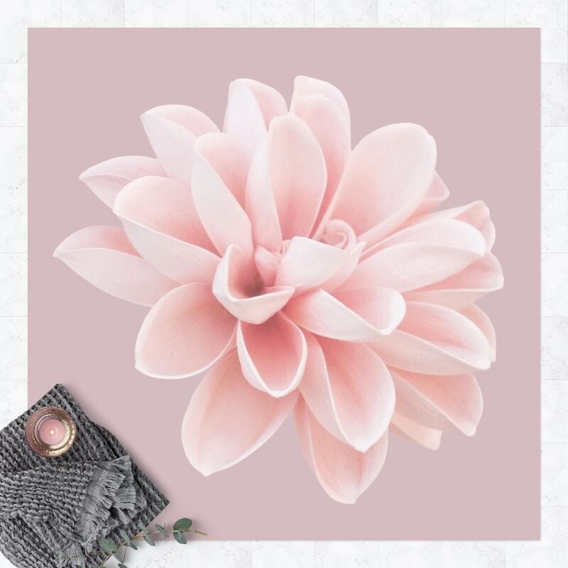 Alfombras vinílicas - Dahlia Flower Lavender Pink White - Cuadrado 1:1 Dimensión LxA: 40cm x 40cm
Alfombras vinílicas - Dahlia Flower Lavender Pink White - Cuadrado 1:1 Dimensión LxA: 40cm x 40cm