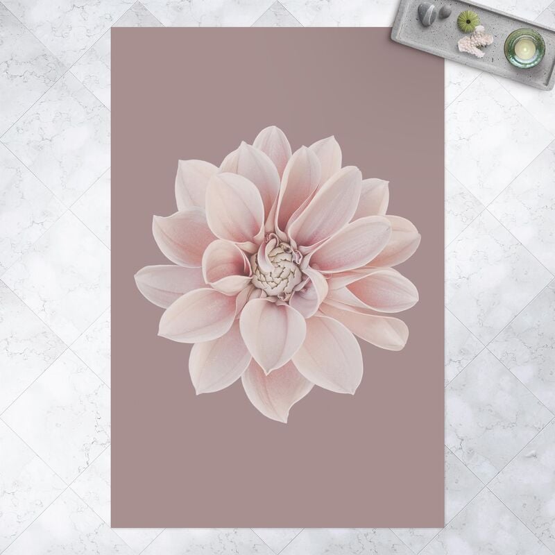 Alfombras vinílicas - Dahlia Flower Lavender White Pink - Alto 3:2 Dimensión LxA: 60cm x 40cm
Alfombras vinílicas - Dahlia Flower Lavender White Pink - Alto 3:2 Dimensión LxA: 60cm x 40cm