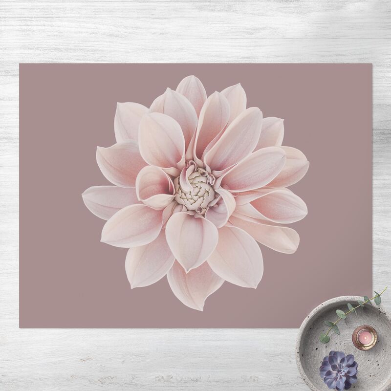 Alfombras vinílicas - Dahlia Flower Lavender White Pink - Apaisado 3:4 Dimensión LxA: 105cm x 140cm
Alfombras vinílicas - Dahlia Flower Lavender White Pink - Apaisado 3:4 Dimensión LxA: 105cm x 140cm