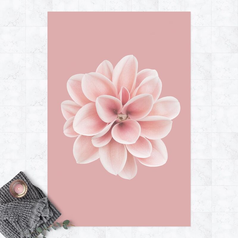 Bilderwelten - Alfombras vinílicas - Dahlia Pink Blush Flower Centered - Alto 3:2 Dimensión LxA: 210cm x 140cm
Bilderwelten - Alfombras vinílicas - Dahlia Pink Blush Flower Centered - Alto 3:2 Dimensión LxA: 210cm x 140cm