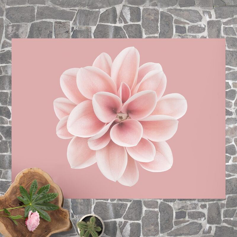 Alfombras vinílicas - Dahlia Pink Blush Flower Centered - Apaisado 3:4 Dimensión LxA: 45cm x 60cm
Alfombras vinílicas - Dahlia Pink Blush Flower Centered - Apaisado 3:4 Dimensión LxA: 45cm x 60cm
