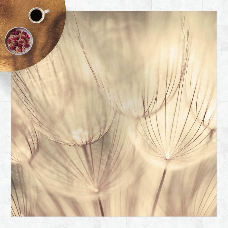Alfombras vinílicas - Dandelions Close-Up In Cozy Sepia Tones - Cuadrado 1:1 Dimensión LxA: 60cm x 60cm
Alfombras vinílicas - Dandelions Close-Up In Cozy Sepia Tones - Cuadrado 1:1 Dimensión LxA: 60cm x 60cm