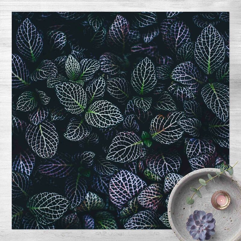 Bilderwelten - Alfombras vinílicas - Dark Botany Mosaic Plant - Cuadrado 1:1 Dimensión LxA: 140cm x 140cm
Bilderwelten - Alfombras vinílicas - Dark Botany Mosaic Plant - Cuadrado 1:1 Dimensión LxA: 140cm x 140cm