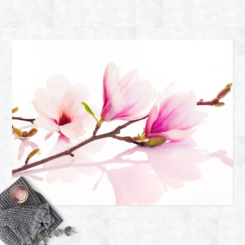 Alfombras vinílicas - Delicate Magnolia Branch - Apaisado 3:4 Dimensión LxA: 75cm x 100cm
Alfombras vinílicas - Delicate Magnolia Branch - Apaisado 3:4 Dimensión LxA: 75cm x 100cm