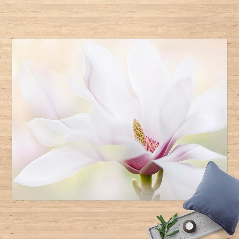 Alfombras vinílicas - Delicate Magnolia Flowers - Apaisado 3:4 Dimensión LxA: 75cm x 100cm
Alfombras vinílicas - Delicate Magnolia Flowers - Apaisado 3:4 Dimensión LxA: 75cm x 100cm