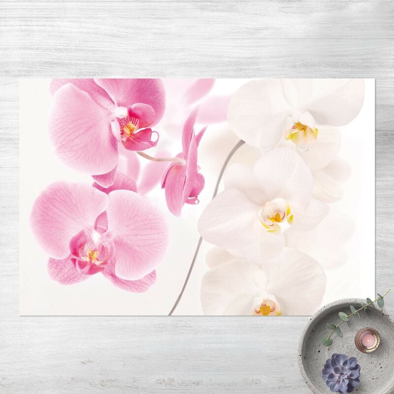 Alfombras vinílicas - Delicate Orchids - Apaisado 2:3 Dimensión LxA: 100cm x 150cm
Alfombras vinílicas - Delicate Orchids - Apaisado 2:3 Dimensión LxA: 100cm x 150cm
