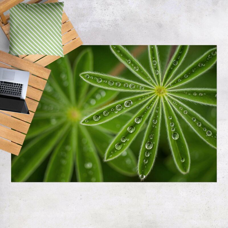 Alfombras vinílicas - Dewtrops On Lupin Leaves - Apaisado 2:3 Dimensión LxA: 100cm x 150cm
Alfombras vinílicas - Dewtrops On Lupin Leaves - Apaisado 2:3 Dimensión LxA: 100cm x 150cm