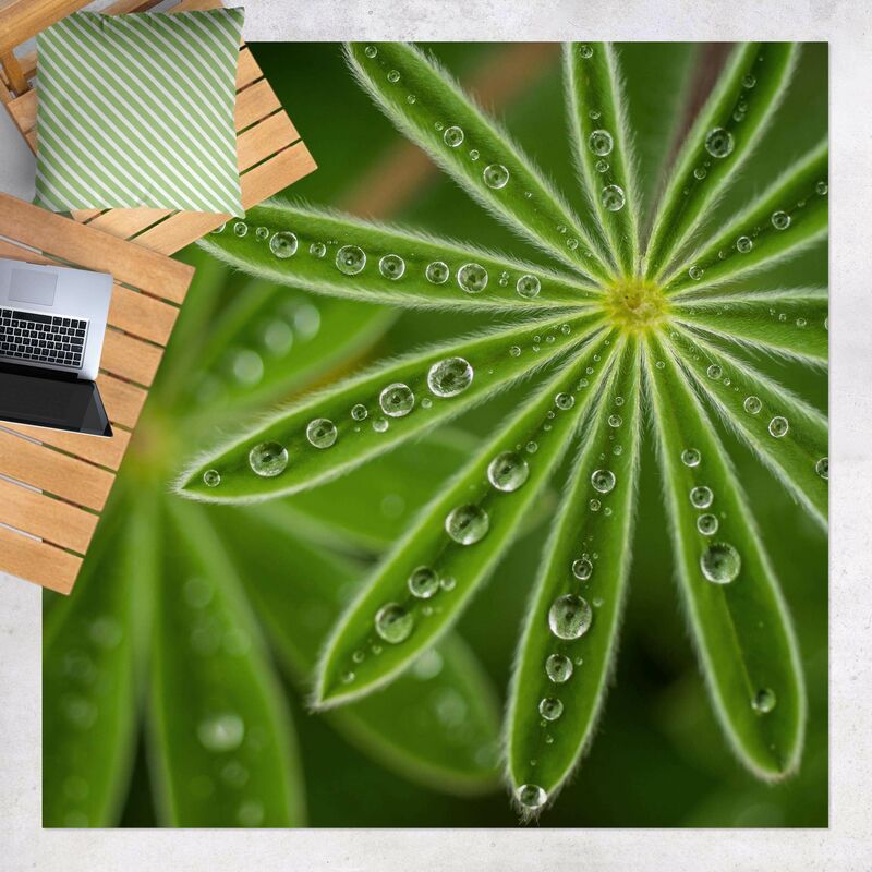 Bilderwelten - Alfombras vinílicas - Dewtrops On Lupin Leaves - Cuadrado 1:1 Dimensión LxA: 100cm x 100cm
Bilderwelten - Alfombras vinílicas - Dewtrops On Lupin Leaves - Cuadrado 1:1 Dimensión LxA: 100cm x 100cm