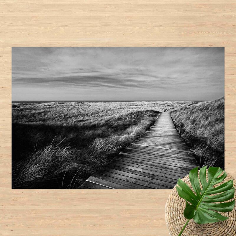 Alfombras vinílicas - Dune Path on Sylt II - Apaisado 2:3 Dimensión LxA: 100cm x 150cm
Alfombras vinílicas - Dune Path on Sylt II - Apaisado 2:3 Dimensión LxA: 100cm x 150cm