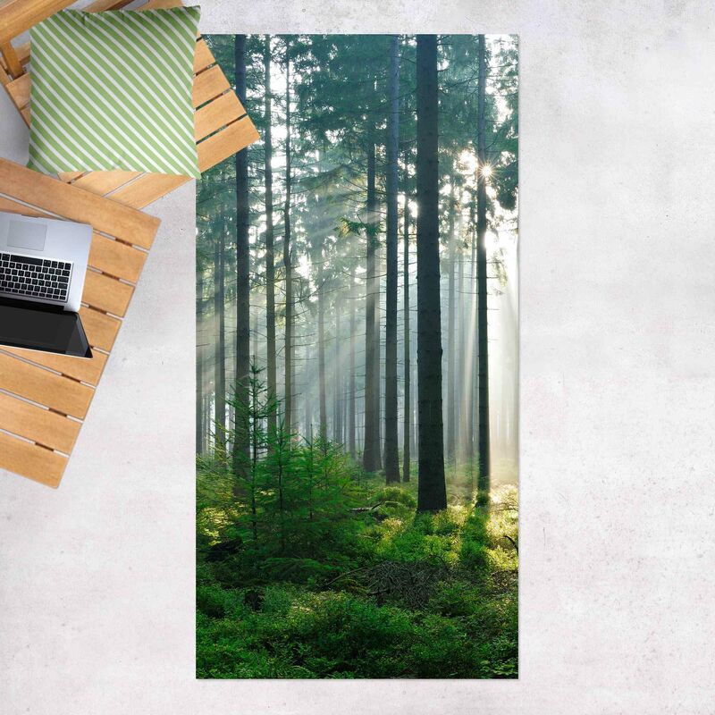 Bilderwelten - Alfombras vinílicas - Enlightened Forest - Alto 2:1 Dimensión LxA: 200cm x 100cm 
Bilderwelten - Alfombras vinílicas - Enlightened Forest - Alto 2:1 Dimensión LxA: 200cm x 100cm