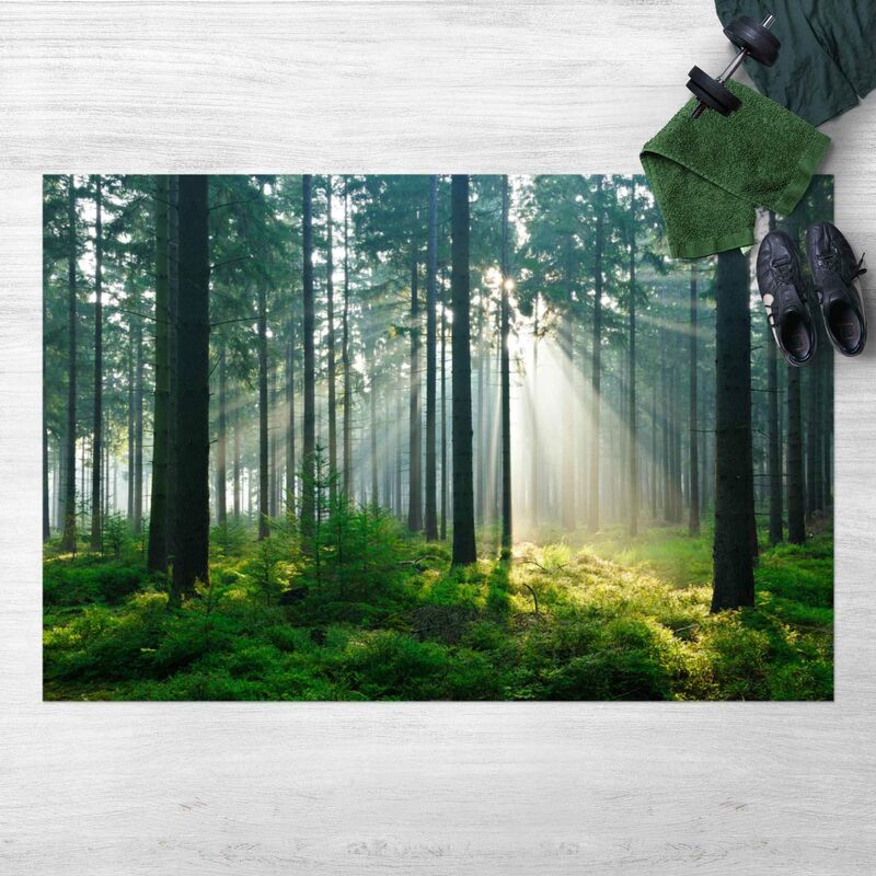 Alfombras vinílicas - Enlightened Forest - Apaisado 2:3 Dimensión LxA: 100cm x 150cm
Alfombras vinílicas - Enlightened Forest - Apaisado 2:3 Dimensión LxA: 100cm x 150cm