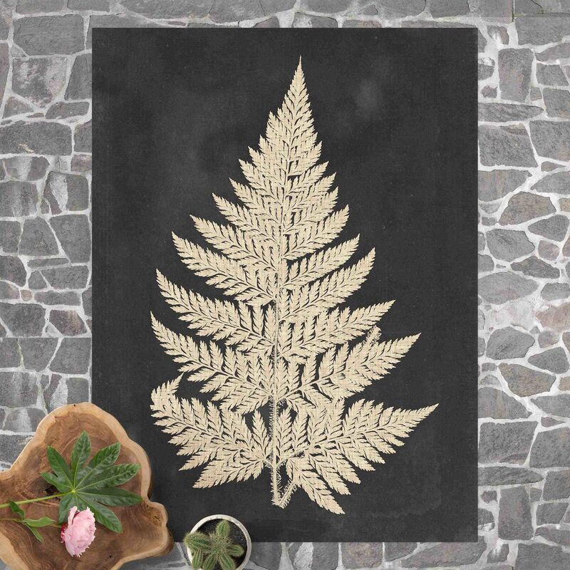 Alfombras vinílicas - Fern With Linen Structure I - Alto 4:3 Dimensión LxA: 160cm x 120cm
Alfombras vinílicas - Fern With Linen Structure I - Alto 4:3 Dimensión LxA: 160cm x 120cm
