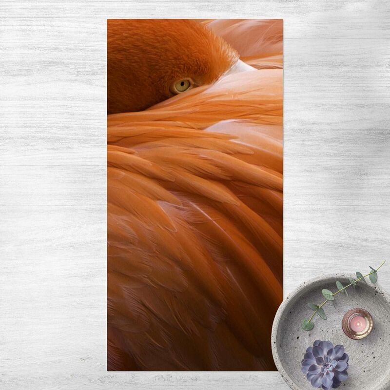 Bilderwelten - Alfombras vinílicas - Flamingo Feathers - Alto 2:1 Dimensión LxA: 200cm x 100cm
Bilderwelten - Alfombras vinílicas - Flamingo Feathers - Alto 2:1 Dimensión LxA: 200cm x 100cm
