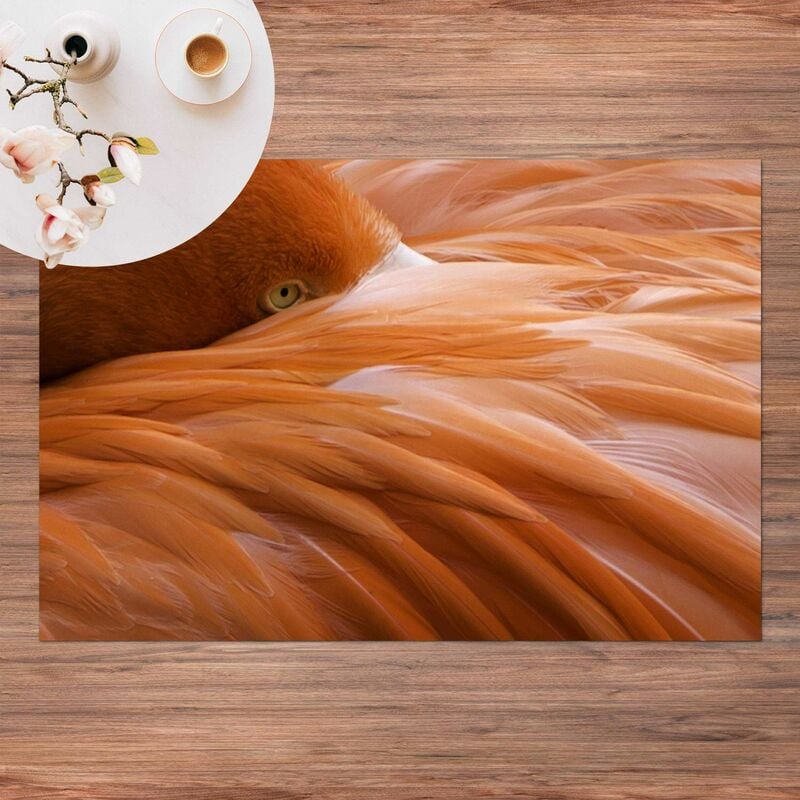 Bilderwelten - Alfombras vinílicas - Flamingo Feathers - Apaisado 2:3 Dimensión LxA: 140cm x 210cm
Bilderwelten - Alfombras vinílicas - Flamingo Feathers - Apaisado 2:3 Dimensión LxA: 140cm x 210cm