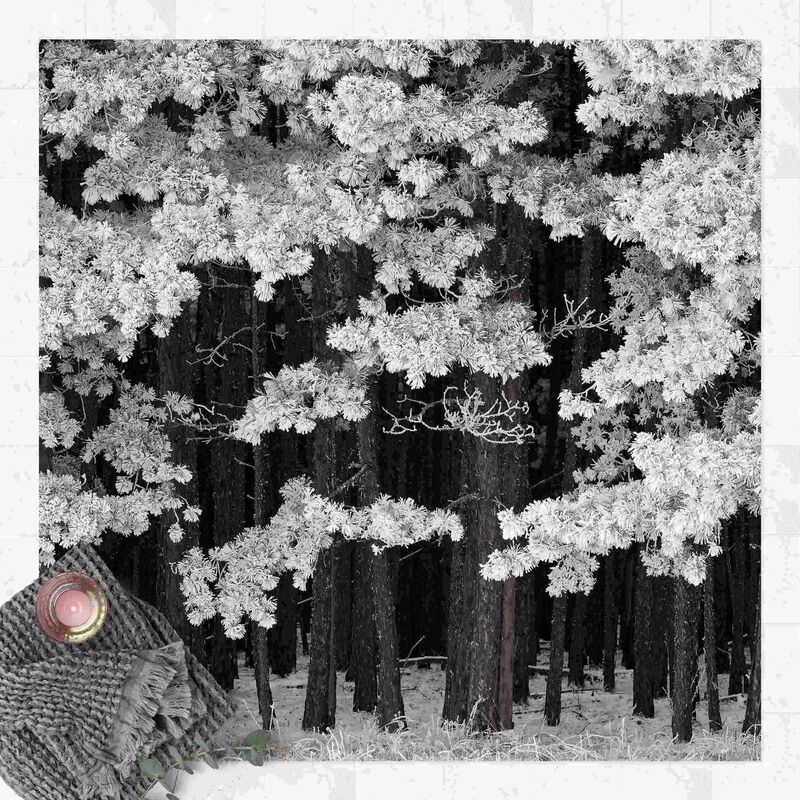 Alfombras vinílicas - Forest With Rime In Austria - Cuadrado 1:1 Dimensión LxA: 60cm x 60cm
Alfombras vinílicas - Forest With Rime In Austria - Cuadrado 1:1 Dimensión LxA: 60cm x 60cm