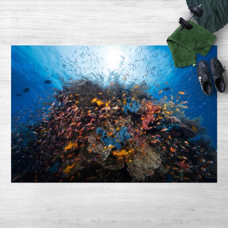 Alfombras vinílicas - Lagoon With Fish - Apaisado 2:3 Dimensión LxA: 100cm x 150cm
Alfombras vinílicas - Lagoon With Fish - Apaisado 2:3 Dimensión LxA: 100cm x 150cm