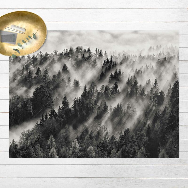 Alfombras vinílicas - Light Beams In The Coniferous Forest - Apaisado 3:4 Dimensión LxA: 45cm x 60cm
Alfombras vinílicas - Light Beams In The Coniferous Forest - Apaisado 3:4 Dimensión LxA: 45cm x 60cm