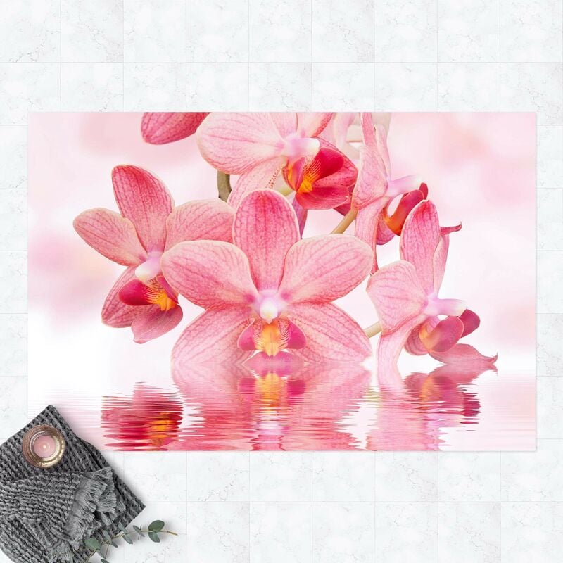 Alfombras vinílicas - Light Pink Orchid On Water - Apaisado 2:3 Dimensión LxA: 40cm x 60cm
Alfombras vinílicas - Light Pink Orchid On Water - Apaisado 2:3 Dimensión LxA: 40cm x 60cm