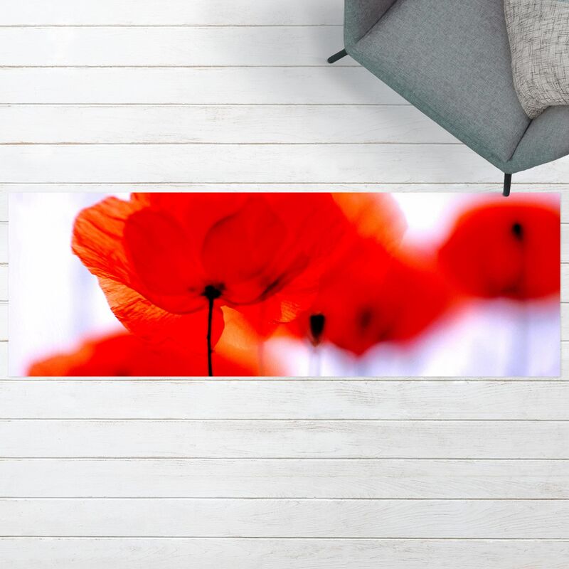 Alfombras vinílicas - Magic Poppies - Panorama Formato apaisado Dimensión LxA: 70cm x 210cm
Alfombras vinílicas - Magic Poppies - Panorama Formato apaisado Dimensión LxA: 70cm x 210cm