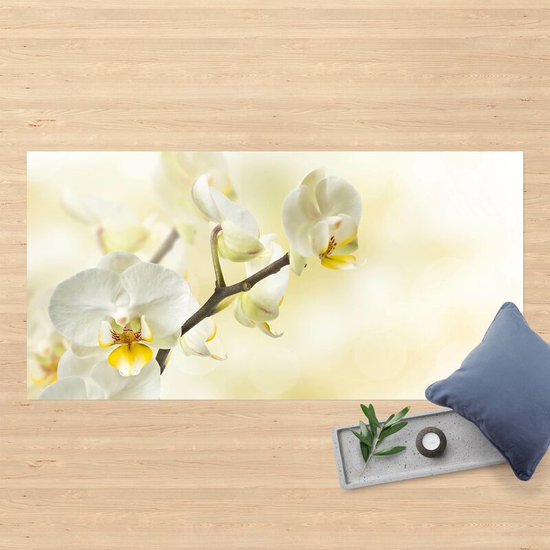 Bilderwelten - Alfombras vinílicas - Orchid Twig - Apaisado 1:2 Dimensión LxA: 90cm x 180cm
Bilderwelten - Alfombras vinílicas - Orchid Twig - Apaisado 1:2 Dimensión LxA: 90cm x 180cm