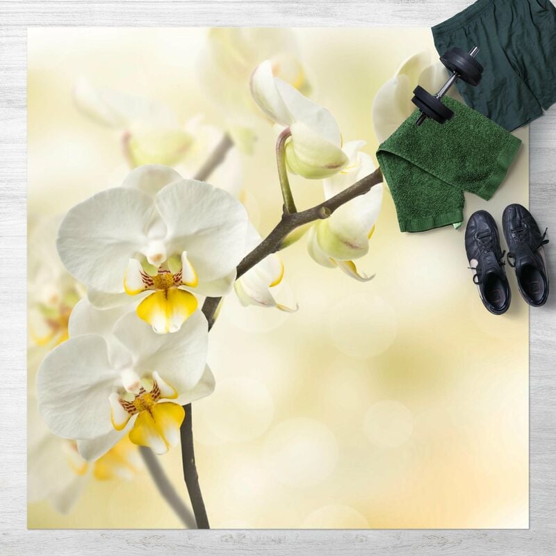 Bilderwelten - Alfombras vinílicas - Orchid Twig - Cuadrado 1:1 Dimensión LxA: 140cm x 140cm
Bilderwelten - Alfombras vinílicas - Orchid Twig - Cuadrado 1:1 Dimensión LxA: 140cm x 140cm