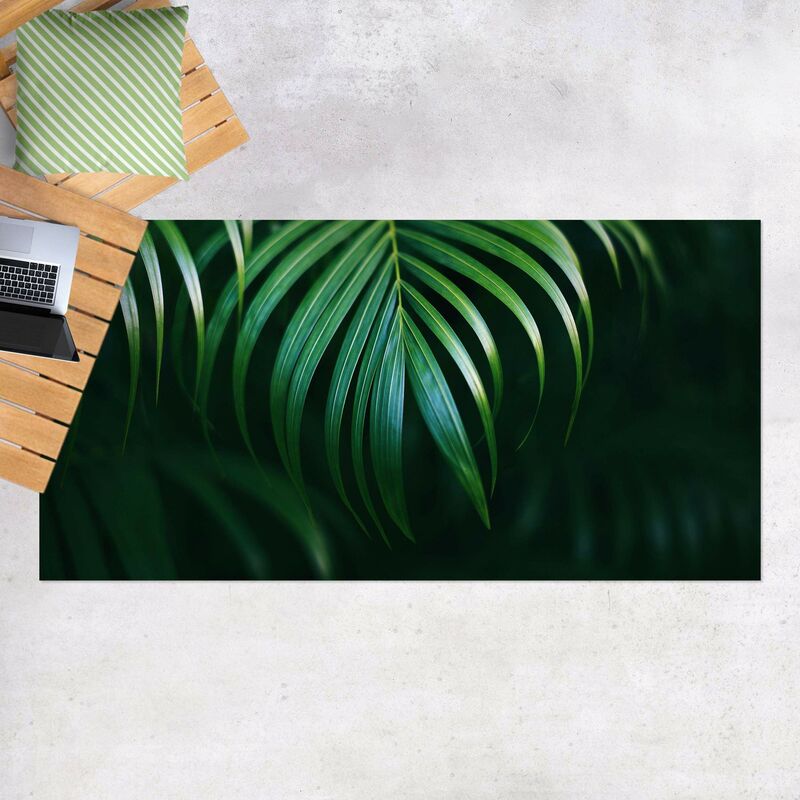 Bilderwelten - Alfombras vinílicas - Palm Fronds - Apaisado 1:2 Dimensión LxA: 130cm x 260cm
Bilderwelten - Alfombras vinílicas - Palm Fronds - Apaisado 1:2 Dimensión LxA: 130cm x 260cm