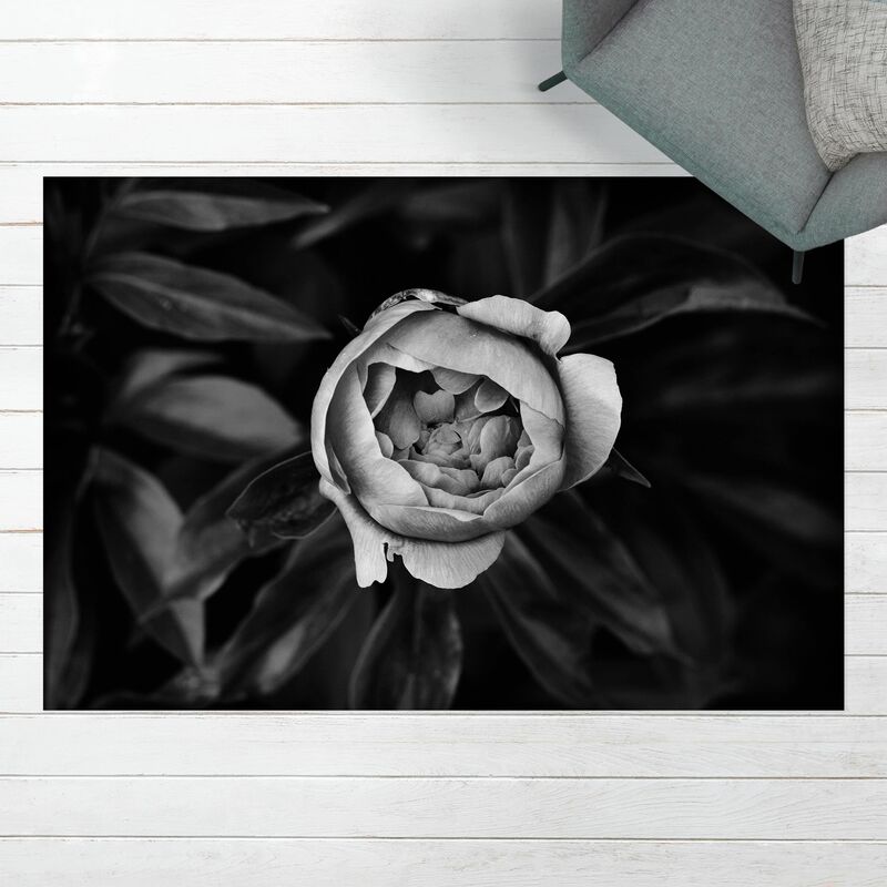 Alfombras vinílicas - Peonies In Front Of Leaves Black And White - Apaisado 2:3 Dimensión LxA: 100cm x 150cm
Alfombras vinílicas - Peonies In Front Of Leaves Black And White - Apaisado 2:3 Dimensión LxA: 100cm x 150cm