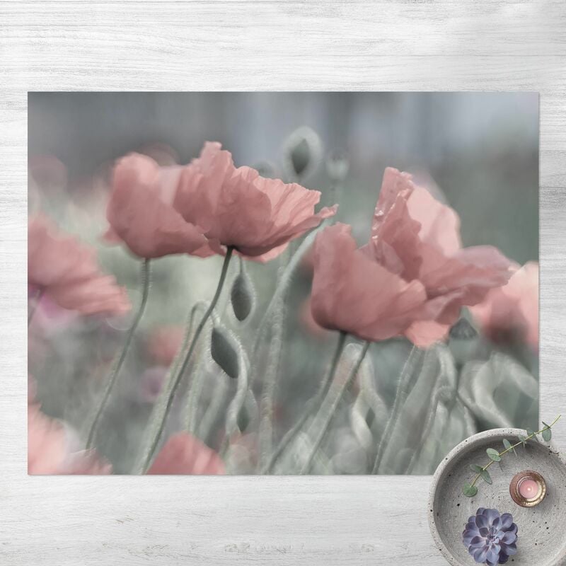 Alfombras vinílicas - Picturesque Poppy - Apaisado 3:4 Dimensión LxA: 120cm x 160cm
Alfombras vinílicas - Picturesque Poppy - Apaisado 3:4 Dimensión LxA: 120cm x 160cm