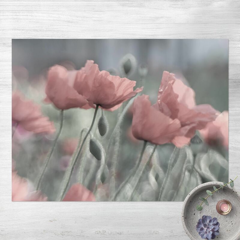 Alfombras vinílicas - Picturesque Poppy - Apaisado 3:4 Dimensión LxA: 90cm x 120cm
Alfombras vinílicas - Picturesque Poppy - Apaisado 3:4 Dimensión LxA: 90cm x 120cm