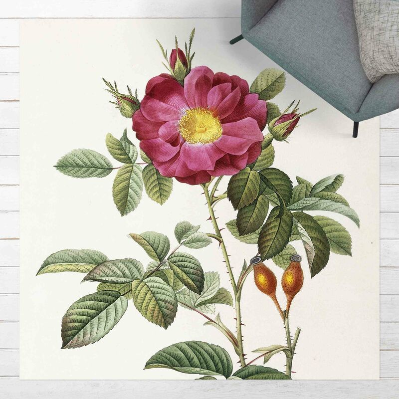 Alfombras vinílicas - Pierre Joseph Redoute - Portland Rose - Cuadrado 1:1 Dimensión LxA: 60cm x 60cm
Alfombras vinílicas - Pierre Joseph Redoute - Portland Rose - Cuadrado 1:1 Dimensión LxA: 60cm x 60cm