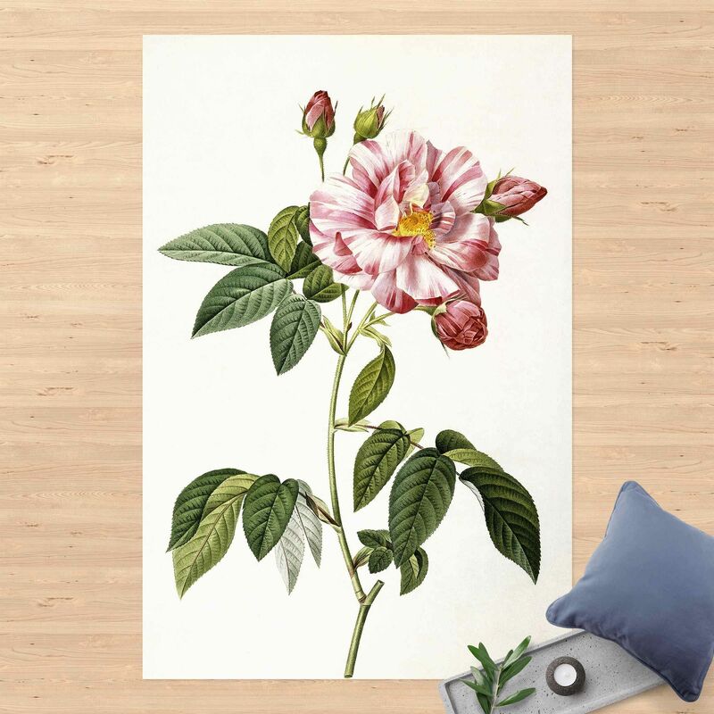 Alfombras vinílicas - Pierre Joseph Redoute - Rosa Gallica Rose - Alto 3:2 Dimensión LxA: 60cm x 40cm
Alfombras vinílicas - Pierre Joseph Redoute - Rosa Gallica Rose - Alto 3:2 Dimensión LxA: 60cm x 40cm