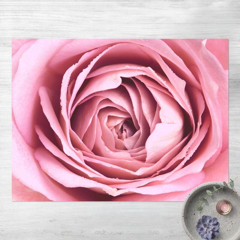 Alfombras vinílicas - Pink Rose Blossom - Apaisado 3:4 Dimensión LxA: 120cm x 160cm
Alfombras vinílicas - Pink Rose Blossom - Apaisado 3:4 Dimensión LxA: 120cm x 160cm