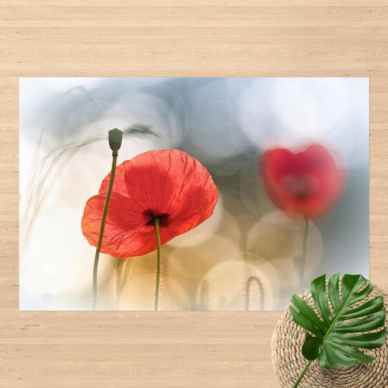 Alfombras vinílicas - Poppy In The Morning - Apaisado 2:3 Dimensión LxA: 80cm x 120cm
Alfombras vinílicas - Poppy In The Morning - Apaisado 2:3 Dimensión LxA: 80cm x 120cm