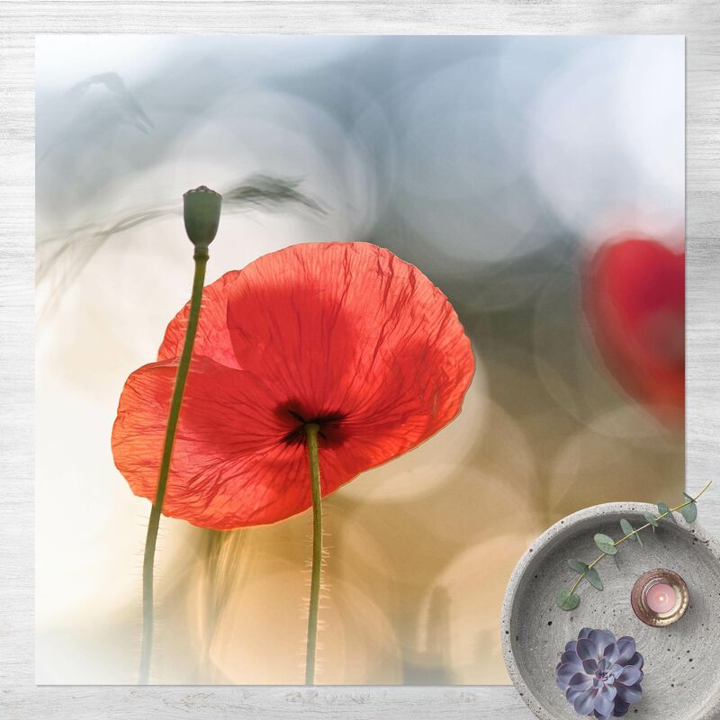 Bilderwelten - Alfombras vinílicas - Poppy In The Morning - Cuadrado 1:1 Dimensión LxA: 140cm x 140cm
Bilderwelten - Alfombras vinílicas - Poppy In The Morning - Cuadrado 1:1 Dimensión LxA: 140cm x 140cm