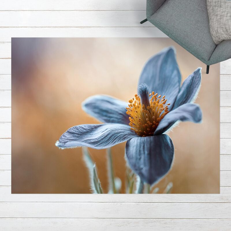Alfombras vinílicas - Pulsatilla In blue - Apaisado 3:4 Dimensión LxA: 135cm x 180cm
Alfombras vinílicas - Pulsatilla In blue - Apaisado 3:4 Dimensión LxA: 135cm x 180cm