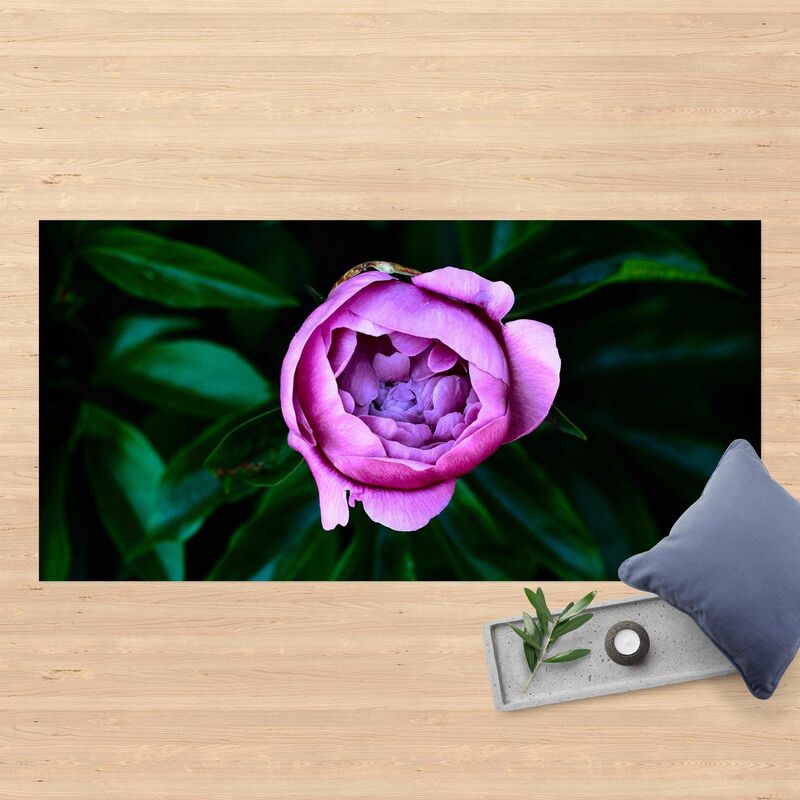 Alfombras vinílicas - Purple Peonies Blossoms In Front Of Leaves - Apaisado 1:2 Dimensión LxA: 80cm x 160cm
Alfombras vinílicas - Purple Peonies Blossoms In Front Of Leaves - Apaisado 1:2 Dimensión LxA: 80cm x 160cm