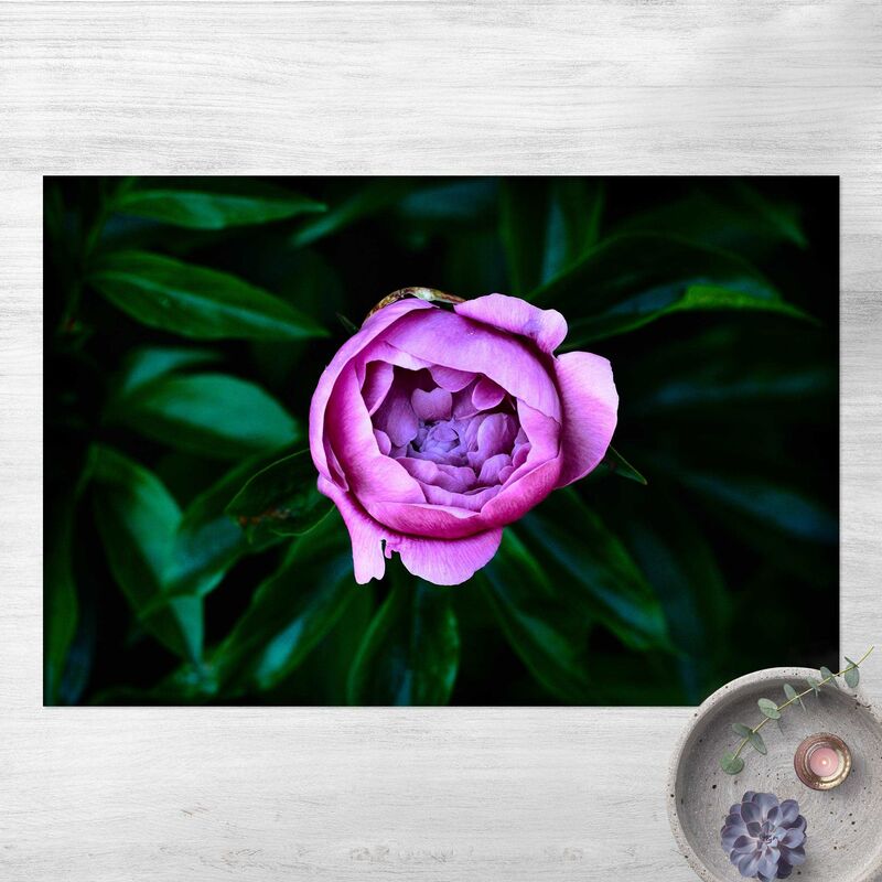 Alfombras vinílicas - Purple Peonies Blossoms In Front Of Leaves - Apaisado 2:3 Dimensión LxA: 40cm x 60cm
Alfombras vinílicas - Purple Peonies Blossoms In Front Of Leaves - Apaisado 2:3 Dimensión LxA: 40cm x 60cm