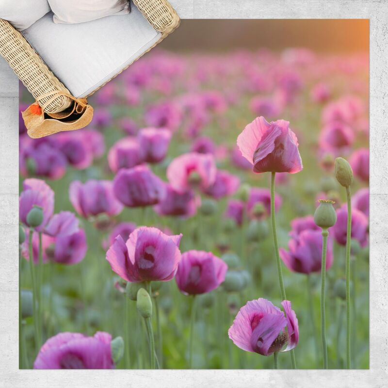 Bilderwelten - Alfombras vinílicas - Purple Poppy Flower Meadow In Spring - Cuadrado 1:1 Dimensión LxA: 140cm x 140cm
Bilderwelten - Alfombras vinílicas - Purple Poppy Flower Meadow In Spring - Cuadrado 1:1 Dimensión LxA: 140cm x 140cm