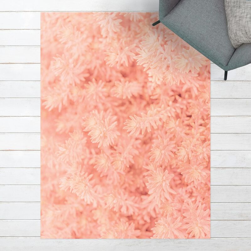 Alfombras vinílicas - Rosemary Light Pink - Alto 4:3 Dimensión LxA: 160cm x 120cm
Alfombras vinílicas - Rosemary Light Pink - Alto 4:3 Dimensión LxA: 160cm x 120cm