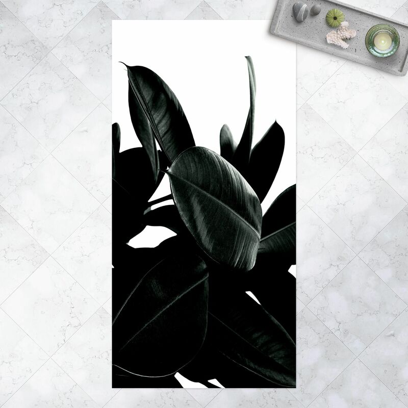 Bilderwelten - Alfombras vinílicas - Rubber Tree Dark Green - Alto 2:1 Dimensión LxA: 160cm x 80cm
Bilderwelten - Alfombras vinílicas - Rubber Tree Dark Green - Alto 2:1 Dimensión LxA: 160cm x 80cm