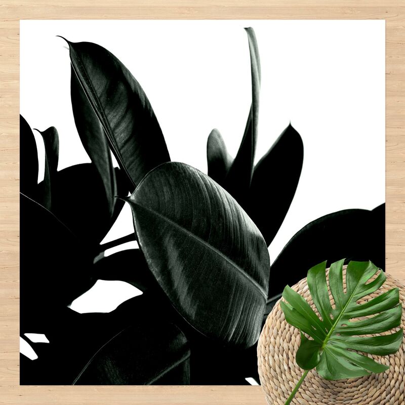 Bilderwelten - Alfombras vinílicas - Rubber Tree Dark Green - Cuadrado 1:1 Dimensión LxA: 140cm x 140cm
Bilderwelten - Alfombras vinílicas - Rubber Tree Dark Green - Cuadrado 1:1 Dimensión LxA: 140cm x 140cm