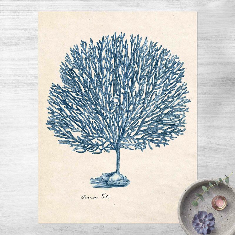 Alfombras vinílicas - Sea Coral Study l - Alto 4:3 Dimensión LxA: 80cm x 60cm
Alfombras vinílicas - Sea Coral Study l - Alto 4:3 Dimensión LxA: 80cm x 60cm