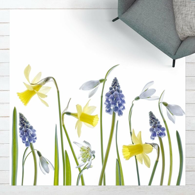 Bilderwelten - Alfombras vinílicas - Spring Flowers - Cuadrado 1:1 Dimensión LxA: 40cm x 40cm
Bilderwelten - Alfombras vinílicas - Spring Flowers - Cuadrado 1:1 Dimensión LxA: 40cm x 40cm