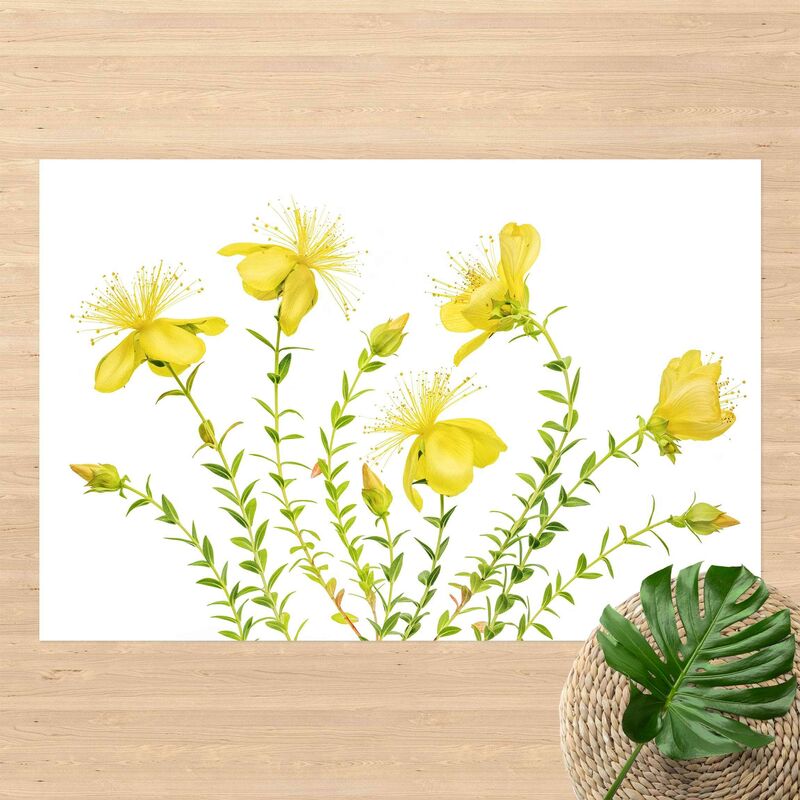 Bilderwelten - Alfombras vinílicas - St. John's Wort In Full Bloom - Apaisado 2:3 Dimensión LxA: 140cm x 210cm
Bilderwelten - Alfombras vinílicas - St. John's Wort In Full Bloom - Apaisado 2:3 Dimensión LxA: 140cm x 210cm