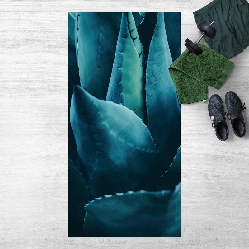Bilderwelten - Alfombras vinílicas - Succulent Plant Petrol - Alto 2:1 Dimensión LxA: 240cm x 120cm
Bilderwelten - Alfombras vinílicas - Succulent Plant Petrol - Alto 2:1 Dimensión LxA: 240cm x 120cm