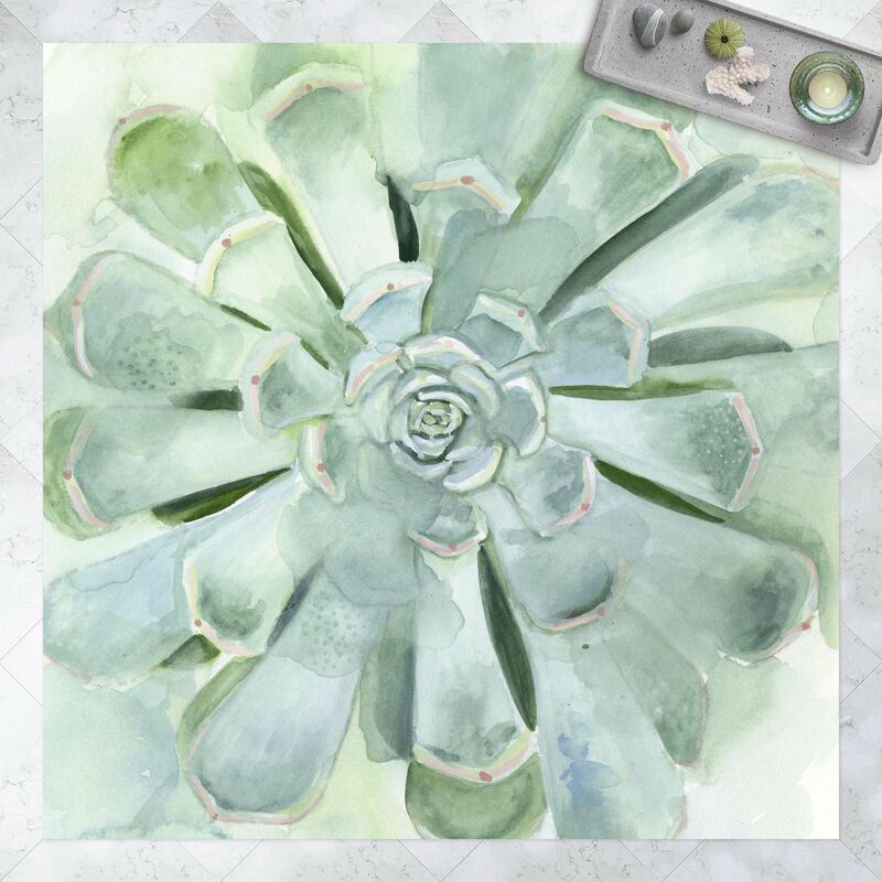 Alfombras vinílicas - Succulent Plant Watercolour Light Coloured - Cuadrado 1:1 Dimensión LxA: 60cm x 60cm
Alfombras vinílicas - Succulent Plant Watercolour Light Coloured - Cuadrado 1:1 Dimensión LxA: 60cm x 60cm