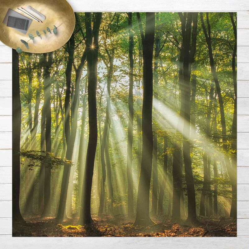 Bilderwelten - Alfombras vinílicas - Sunny Day In The Forest - Cuadrado 1:1 Dimensión LxA: 140cm x 140cm
Bilderwelten - Alfombras vinílicas - Sunny Day In The Forest - Cuadrado 1:1 Dimensión LxA: 140cm x 140cm