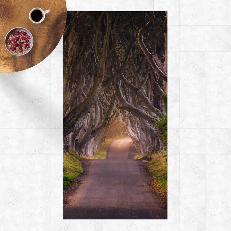 Bilderwelten - Alfombras vinílicas - Tunnel Of Trees - Alto 2:1 Dimensión LxA: 280cm x 140cm
Bilderwelten - Alfombras vinílicas - Tunnel Of Trees - Alto 2:1 Dimensión LxA: 280cm x 140cm