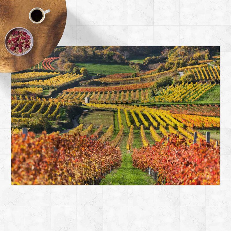 Alfombras vinílicas - Vineyard View - Apaisado 2:3 Dimensión LxA: 80cm x 120cm
Alfombras vinílicas - Vineyard View - Apaisado 2:3 Dimensión LxA: 80cm x 120cm